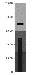 gráfico de bullet vertical no Excel