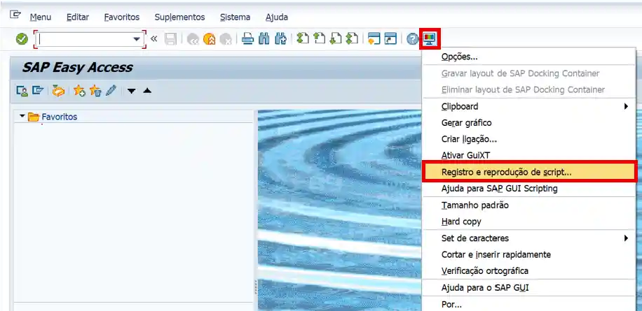 Registro e reprodução de script