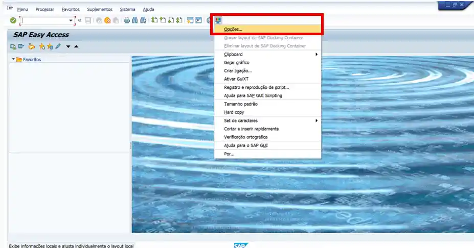 Gravação de Script SAP GUI